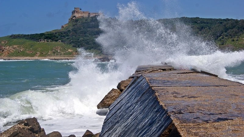 fort tabarka