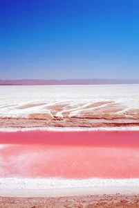 chot el jerid